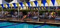 Diving into the 400 meter freestyle with some of my teammates